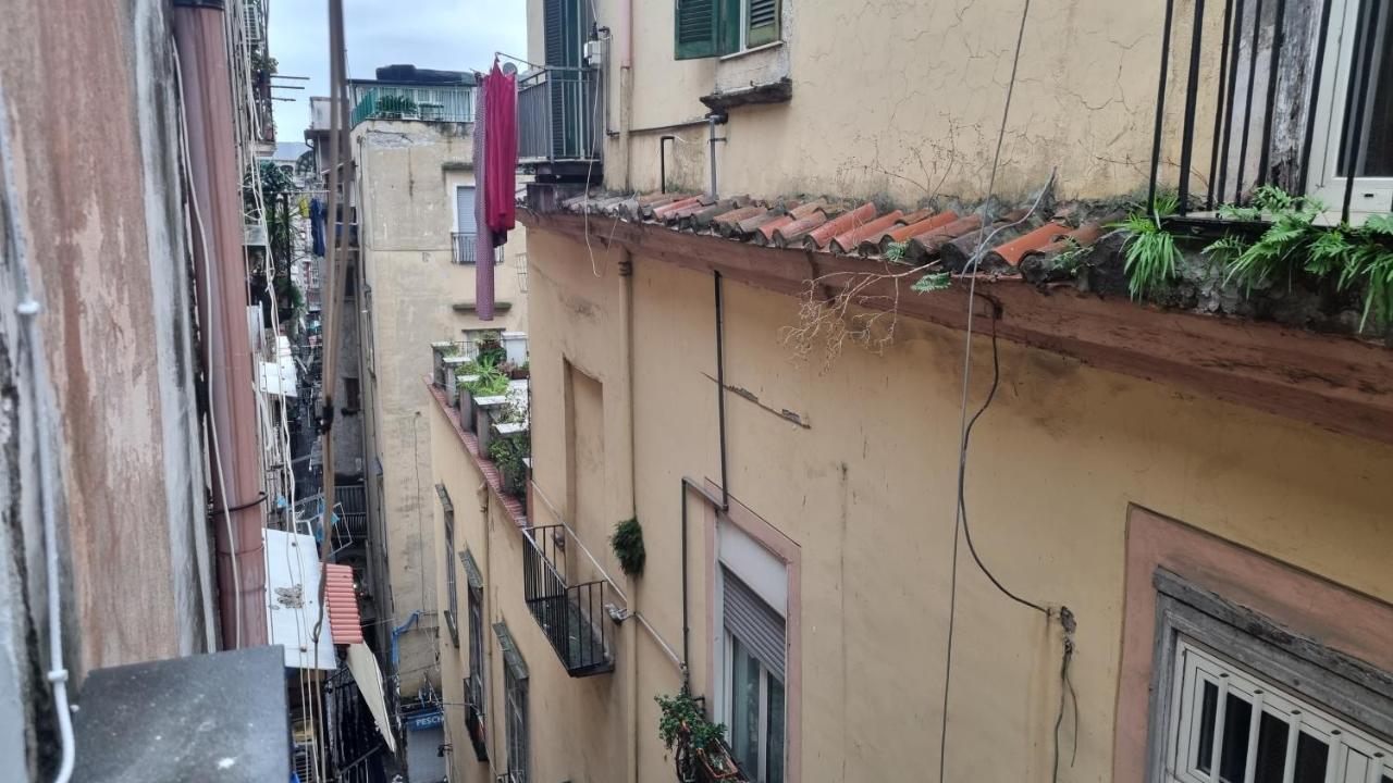 Residenza Carafa - Rc - My Place Apartment